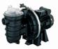 Pompe de piscine Flygt STA-RITE