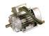 Moteur Leroy Somer HTA / HTF