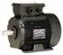 Moteur Leroy Somer LSMV