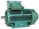 Moteur electrique Leroy Somer FLSC