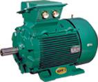 Moteur electrique Leroy Somer FLSES