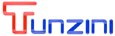 Tunzini