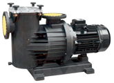 Pompe auto-aspirante pour piscine à grand débit Saer KSM / VERT KSM