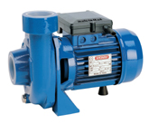 Pompe centrifuge d'irrigation à haut débit Speroni CBM 100-150