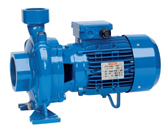 Pompe centrifuge monobloc à roue en fonte Speroni CFM