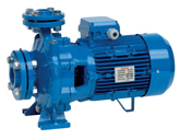 Pompe centrifuge monobloc à moteur électrique Speroni CS