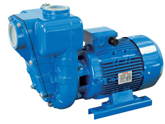 Pompe centrifuge auto-amorçante monobloc Speroni HG