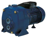 Pompe de surface centrifuge auto-amorçante convertible Arven AP-P