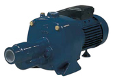 Pompe de surface centrifuge auto-amorçante à double roue Arven JTV-P