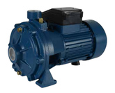 Pompe centrifuge à deux roues avec moteur électrique Arven RB
