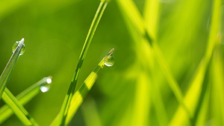 Est-ce rentable de mettre une cuve de récupération d'eau de pluie ?
