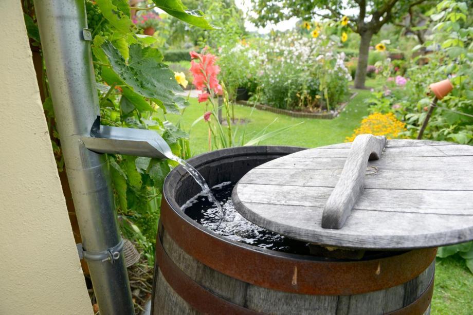 Quel est le meilleur récupérateur d'eau de pluie ?