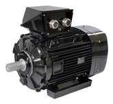 Moteur synchrone à réluctance assistée d'aimants à haut rendement Leroy Somer (Nidec) Dyneo+ LSHRM / FLSHRM / PLSHRM