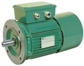 Moteur asynchrone triphasé à frein intégré Leroy Somer (Nidec) FCR