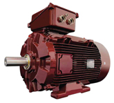 Moteur synchrone à aimants permanents à haut rendement Leroy Somer (Nidec) LSRPM