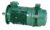 Moteur asynchrone avec frein triphasé Leroy Somer (Nidec) LS FAP