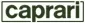 Pompe de relevage Caprari