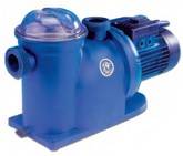 pompe piscine xylem