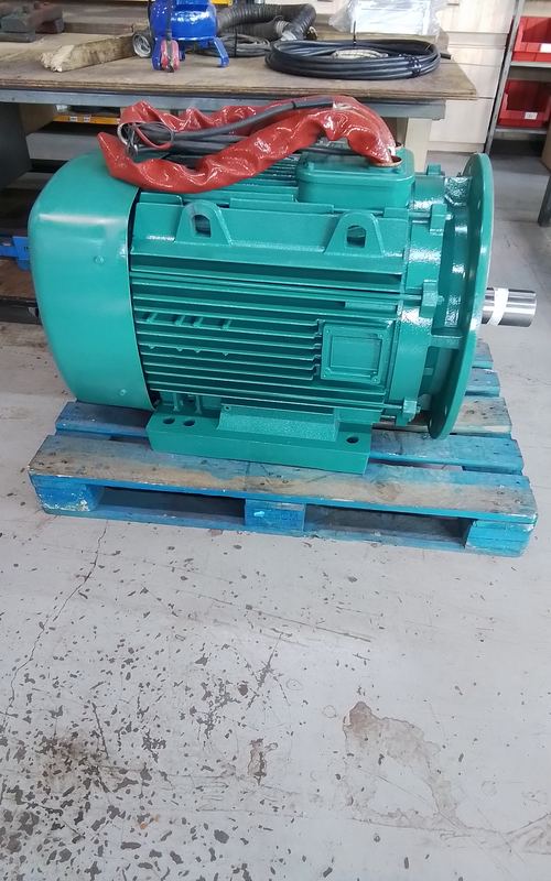 Rebobinage d'un moteur électrique de 110 Kw au Plessis-Robinson pour Dalkia