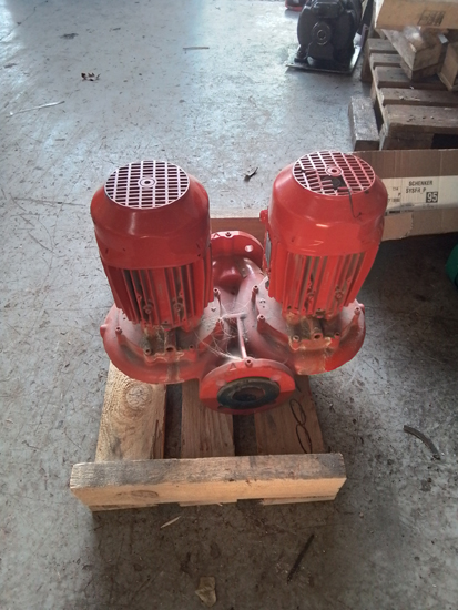 Réparation pompe double Salmson JRL chauffage hôtel Paris | Motralec