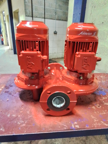 Réparation pompe double Salmson JRL chauffage hôtel Paris | Motralec