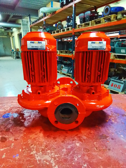 Réparation pompe de chauffage double Salmson JRL dans un grand hôtel parisien