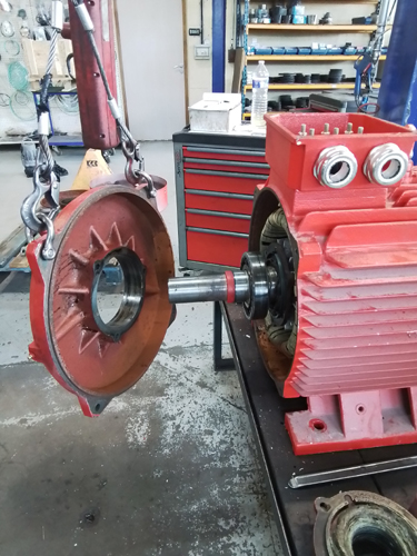 Réparation d’un moteur électrique 75 kW : l’expertise Motralec au service de la performance industrielle