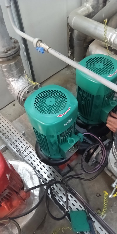 Remplacement d'une pompe par un groupe double Wilo à Paris 8e (75008) - Motralec